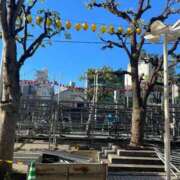 ヒメ日記 2025/07/26 22:25 投稿 かれん ファッションヘルス カリスマ