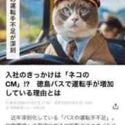 ヒメ日記 2025/08/02 11:35 投稿 かれん ファッションヘルス カリスマ