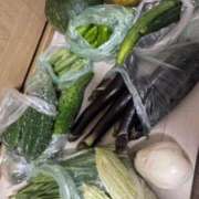 ヒメ日記 2025/08/05 12:25 投稿 かれん ファッションヘルス カリスマ