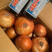 ヒメ日記 2025/08/09 12:25 投稿 かれん ファッションヘルス カリスマ