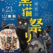 ヒメ日記 2025/08/15 11:45 投稿 かれん ファッションヘルス カリスマ
