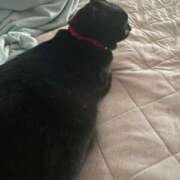 ヒメ日記 2025/08/15 13:48 投稿 かれん ファッションヘルス カリスマ