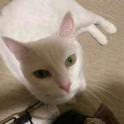 ヒメ日記 2025/08/17 14:45 投稿 かれん ファッションヘルス カリスマ