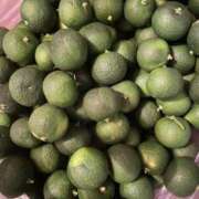 ヒメ日記 2025/08/18 12:45 投稿 かれん ファッションヘルス カリスマ