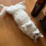 ヒメ日記 2025/08/22 12:25 投稿 かれん ファッションヘルス カリスマ