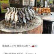 ヒメ日記 2025/09/19 11:05 投稿 かれん ファッションヘルス カリスマ