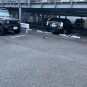 ヒメ日記 2025/09/20 20:07 投稿 かれん ファッションヘルス カリスマ