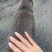 ヒメ日記 2025/09/21 11:05 投稿 かれん ファッションヘルス カリスマ