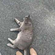 ヒメ日記 2025/09/22 10:25 投稿 かれん ファッションヘルス カリスマ