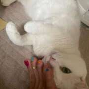 ヒメ日記 2025/09/24 01:55 投稿 かれん ファッションヘルス カリスマ