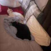 ヒメ日記 2025/09/24 07:18 投稿 かれん ファッションヘルス カリスマ