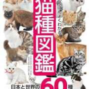 ヒメ日記 2025/09/24 16:25 投稿 かれん ファッションヘルス カリスマ