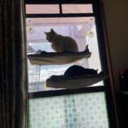 ヒメ日記 2025/09/26 18:35 投稿 かれん ファッションヘルス カリスマ