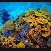 ヒメ日記 2025/09/28 10:25 投稿 かれん ファッションヘルス カリスマ