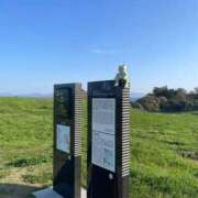 ヒメ日記 2025/09/30 16:25 投稿 かれん ファッションヘルス カリスマ