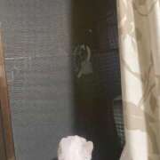 ヒメ日記 2025/10/01 12:25 投稿 かれん ファッションヘルス カリスマ