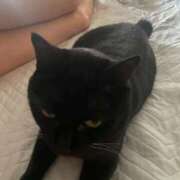 ヒメ日記 2025/10/01 16:55 投稿 かれん ファッションヘルス カリスマ