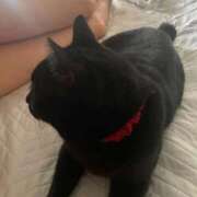 ヒメ日記 2025/10/02 10:45 投稿 かれん ファッションヘルス カリスマ