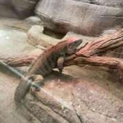 ヒメ日記 2025/10/10 00:25 投稿 かれん ファッションヘルス カリスマ