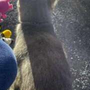 ヒメ日記 2025/10/14 10:35 投稿 かれん ファッションヘルス カリスマ