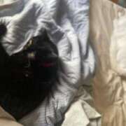 ヒメ日記 2025/10/17 10:35 投稿 かれん ファッションヘルス カリスマ