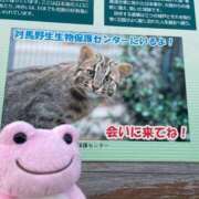 ヒメ日記 2025/10/21 10:45 投稿 かれん ファッションヘルス カリスマ