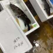 ヒメ日記 2025/10/25 01:35 投稿 かれん ファッションヘルス カリスマ