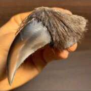 ヒメ日記 2025/10/29 10:45 投稿 かれん ファッションヘルス カリスマ