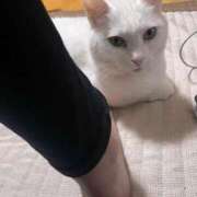 ヒメ日記 2025/10/30 10:55 投稿 かれん ファッションヘルス カリスマ