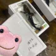 ヒメ日記 2025/10/30 19:35 投稿 かれん ファッションヘルス カリスマ