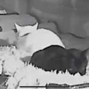 ヒメ日記 2025/11/01 11:35 投稿 かれん ファッションヘルス カリスマ