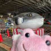 ヒメ日記 2025/11/03 10:55 投稿 かれん ファッションヘルス カリスマ