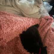 ヒメ日記 2025/11/10 19:25 投稿 かれん ファッションヘルス カリスマ