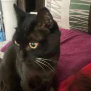 ヒメ日記 2025/11/13 10:25 投稿 かれん ファッションヘルス カリスマ