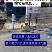 ヒメ日記 2025/11/13 12:25 投稿 かれん ファッションヘルス カリスマ