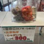 ヒメ日記 2025/11/15 13:43 投稿 かれん ファッションヘルス カリスマ