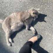 ヒメ日記 2025/11/22 11:15 投稿 かれん ファッションヘルス カリスマ