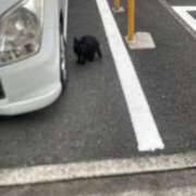 ヒメ日記 2025/11/27 12:15 投稿 かれん ファッションヘルス カリスマ