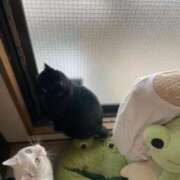 ヒメ日記 2025/11/28 16:55 投稿 かれん ファッションヘルス カリスマ