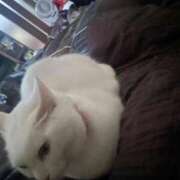 ヒメ日記 2025/12/02 10:50 投稿 かれん ファッションヘルス カリスマ