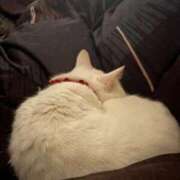 ヒメ日記 2025/12/15 14:35 投稿 かれん ファッションヘルス カリスマ