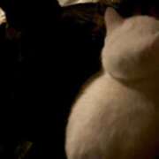 ヒメ日記 2025/12/22 11:25 投稿 かれん ファッションヘルス カリスマ