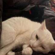 ヒメ日記 2025/12/26 21:05 投稿 かれん ファッションヘルス カリスマ