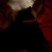 ヒメ日記 2025/12/27 10:25 投稿 かれん ファッションヘルス カリスマ