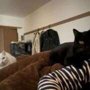 ヒメ日記 2026/01/01 12:05 投稿 かれん ファッションヘルス カリスマ