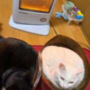 ヒメ日記 2026/01/01 14:35 投稿 かれん ファッションヘルス カリスマ