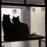 ヒメ日記 2026/01/05 10:45 投稿 かれん ファッションヘルス カリスマ