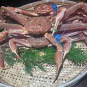 ヒメ日記 2026/01/06 18:25 投稿 かれん ファッションヘルス カリスマ