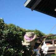 ヒメ日記 2026/01/14 12:36 投稿 かれん ファッションヘルス カリスマ