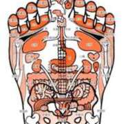 ヒメ日記 2026/01/16 11:05 投稿 かれん ファッションヘルス カリスマ